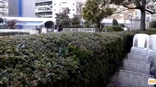 亚洲国产av图片